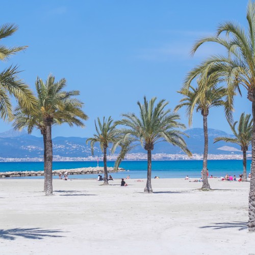 Strand met palmbomen