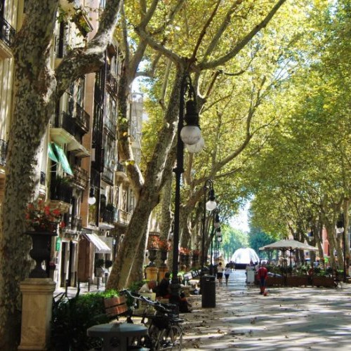 passeig Del Born