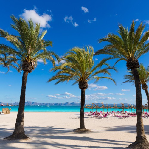Alcudia Mallorca strand