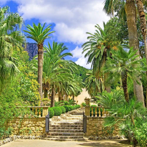 Botanische tuinen van Sóller