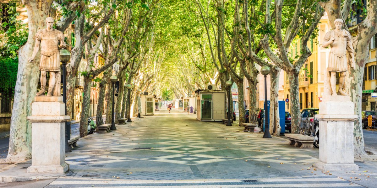 Winkelstraat Passeig del Born