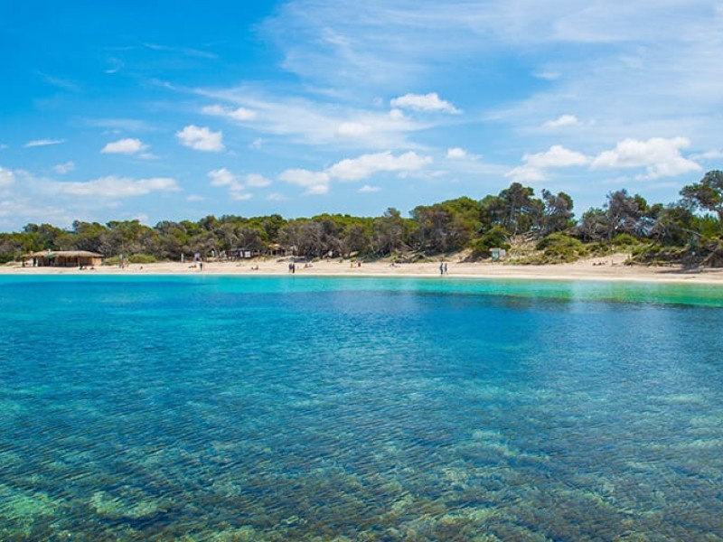 Colonia de Sant Jordi