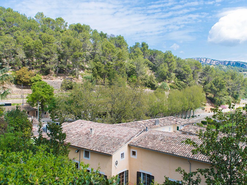 Sa granja farm