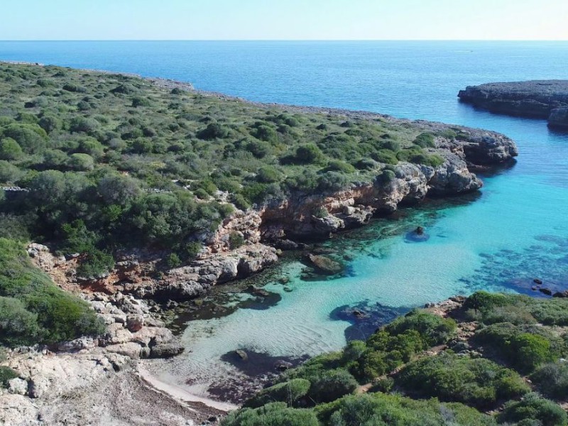 Baai Cala Petita